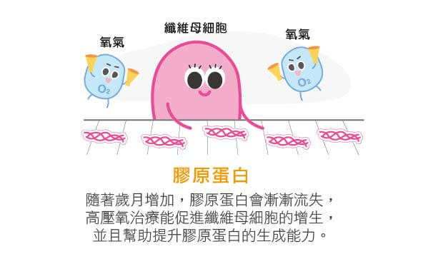 美帝可耐高壓氧艙(HBOT)